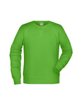 James & Nicholson Herren Sweatshirt lime-green
