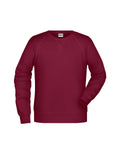 James & Nicholson Herren Sweatshirt wine