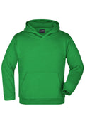 James & Nicholson Kinder Kapuzensweatshirt fern-green