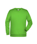 James & Nicholson Herren Basic Sweatshirt lime-green