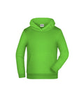 James & Nicholson Kinder Kapuzensweatshirt lime-green