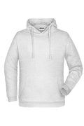 James & Nicholson Herren Kapuzensweatshirt ash