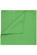 James & Nicholson Bandana Tuch lime-green