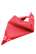 James & Nicholson Bandana red/white