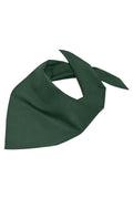 James & Nicholson Multifunktionelles Dreieck-Tuch dark-green