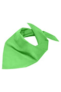 James & Nicholson Multifunktionelles Dreieck-Tuch lime-green