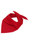 James & Nicholson Multifunktionelles Dreieck-Tuch red