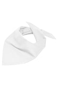 James & Nicholson Multifunktionelles Dreieck-Tuch white